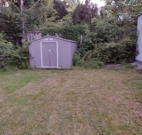 Familienfreundlicher Bungalow mit modernisiertem Wohnbereich und viel Platz im Untergeschoss – Gartenhütte