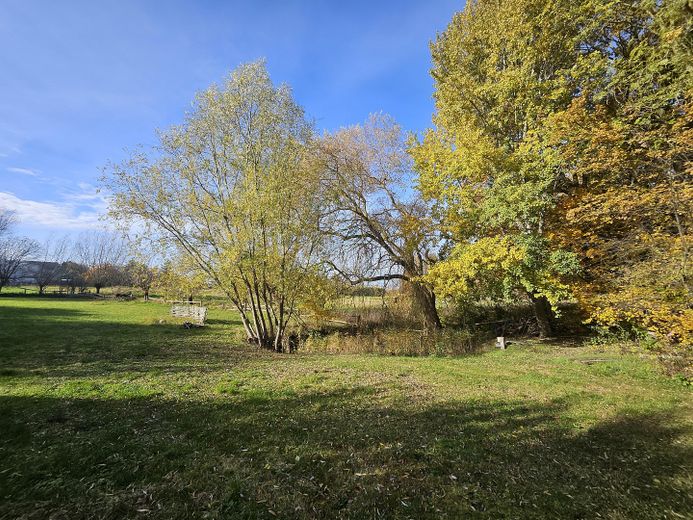 Landhaus unweit von Schwerin - Nachlaß bei zügiger Übernahme – Wiese mit Wasserloch, Brunnen