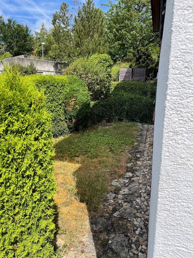 Weil der Stadt merkezinde büyük bir evde paylaşımlı daire odası – UG Terasse alt