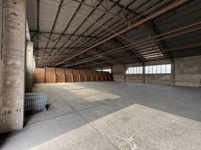 Großzügige Gewerbefläche mit Lagerhallenbestand und Büro in Neustadt a. d. Orla – Lagerhalle innen