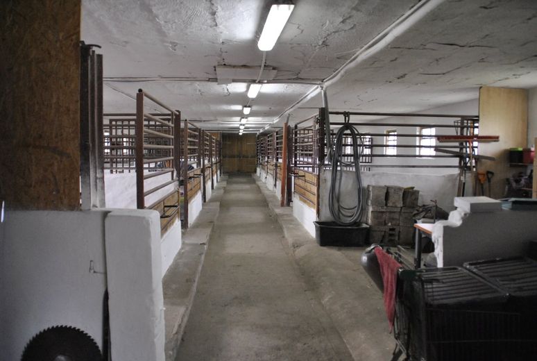 Marlow-OT, Reitanlage + Blockhütten in Ostseenähe – Foto 15