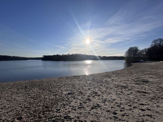 Ferienbungalow an der Thülsfelder Talsperre - provisionsfrei – Foto 19