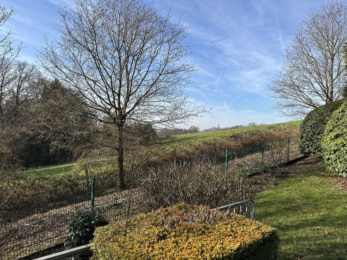 Blick aus dem Garten