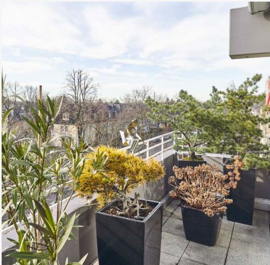 Traumwohnung in Riehl mit gehobener Ausstattung – Balkon