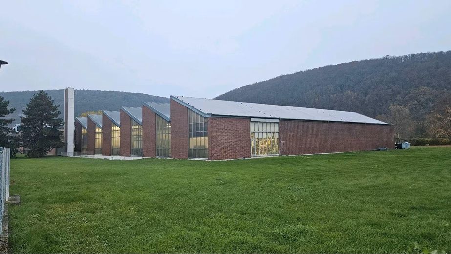 Vielseitige Produktions- & Lagerhalle 2.800 m² + 9.400 m² Freifläche in Wertheim-Bestenheid – Aussen Strassenseite
