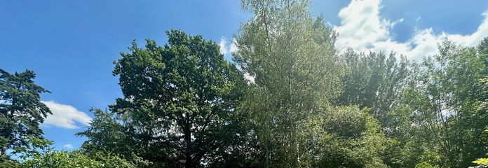 Viel Platz zum spielen 