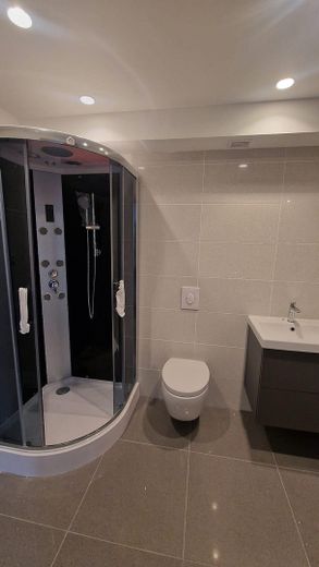 Gäste-WC mit Dusche EG