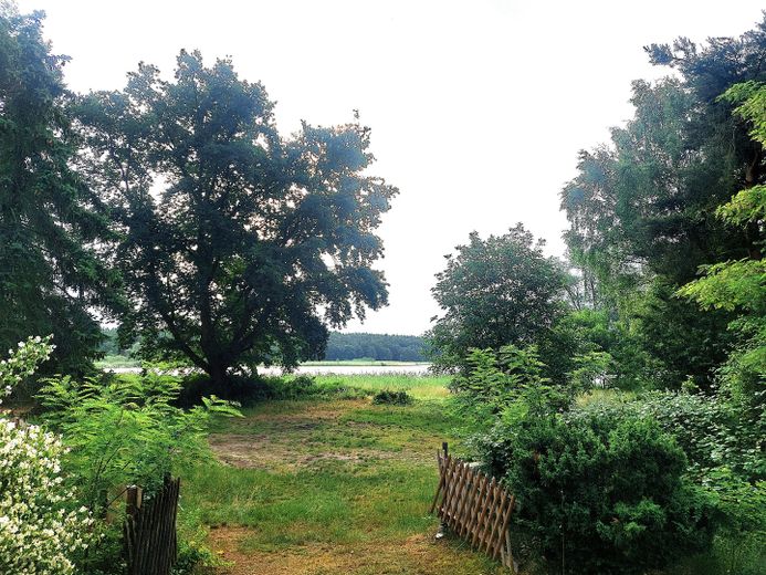 Blick vom Grundstück zum See