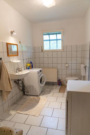 Landhaus unter Reet am See, Gästewohnung, Stallungen, Weiden und Wald. – Duschbad Sauna