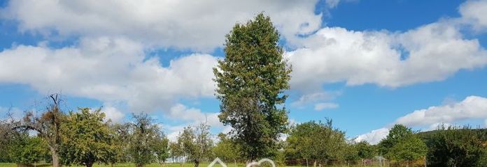 Emplacement de rêve, idéal pour une famille – terrain à bâtir à Plech, parcelle d’angle