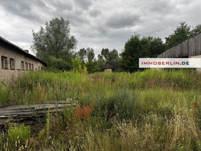IMMOBERLIN.DE — 5,3 гектара для сільського та/або лісового господарства чи енергетики – Фотографія 1