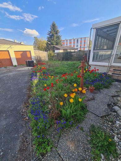 Garten hinten