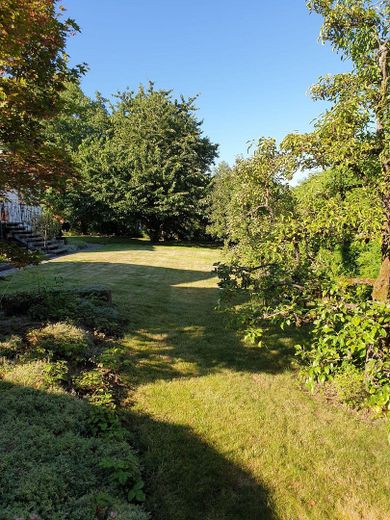 Garten vom Gartenhaus aus
