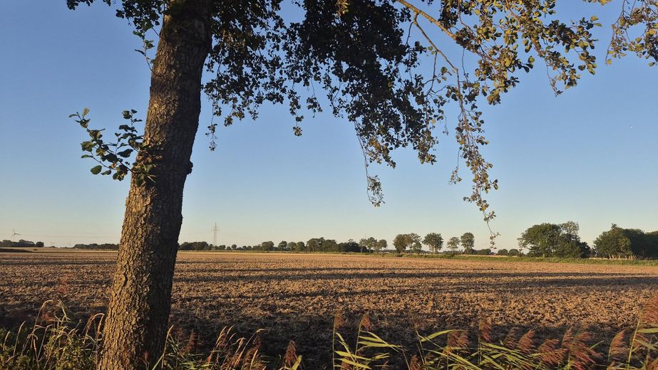 Feld Alter Postweg