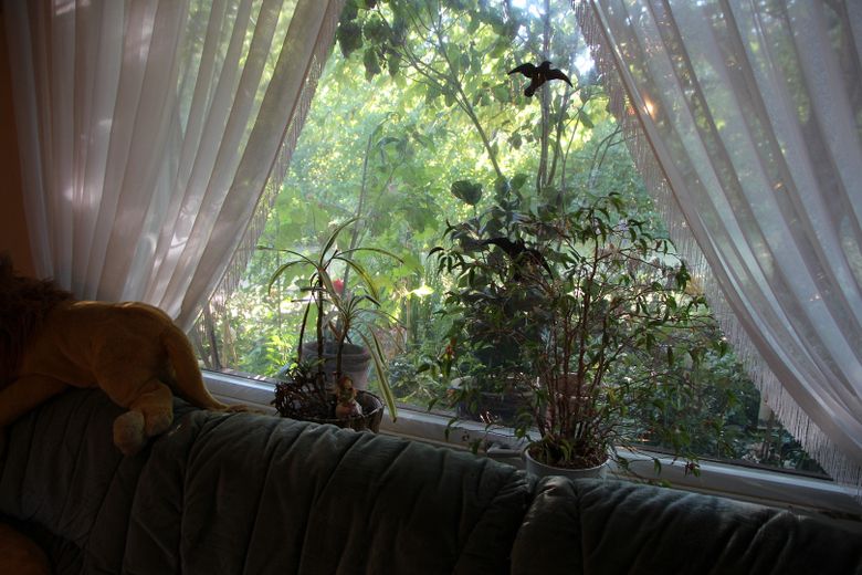 A breve termine: bungalow immerso nella natura in un ampio giardino – Foto 12