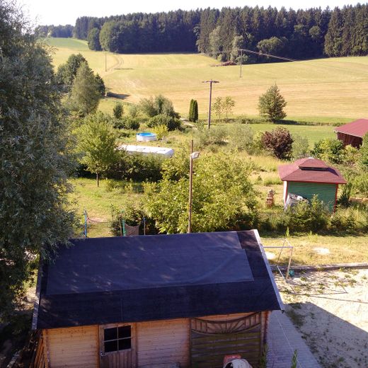 Blick in den Obstgarten