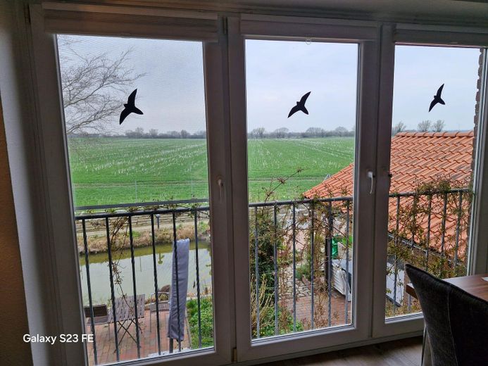 Bungalow mit verschiedenen Nutzungsmöglichkeiten – Foto 16