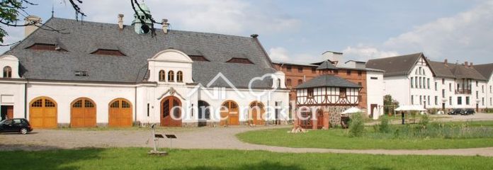 Atelier/Praxis/Gastro/Touristik/Büro/LOFT +++ in GUTSANLAGE (12 Geb. + 6 ha. Gr.) Nähe Müritz!