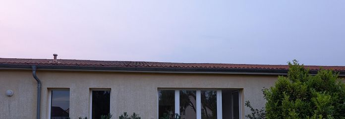 Blick aus dem Garten