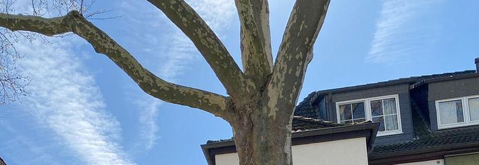 Haus mit Doppelgarage