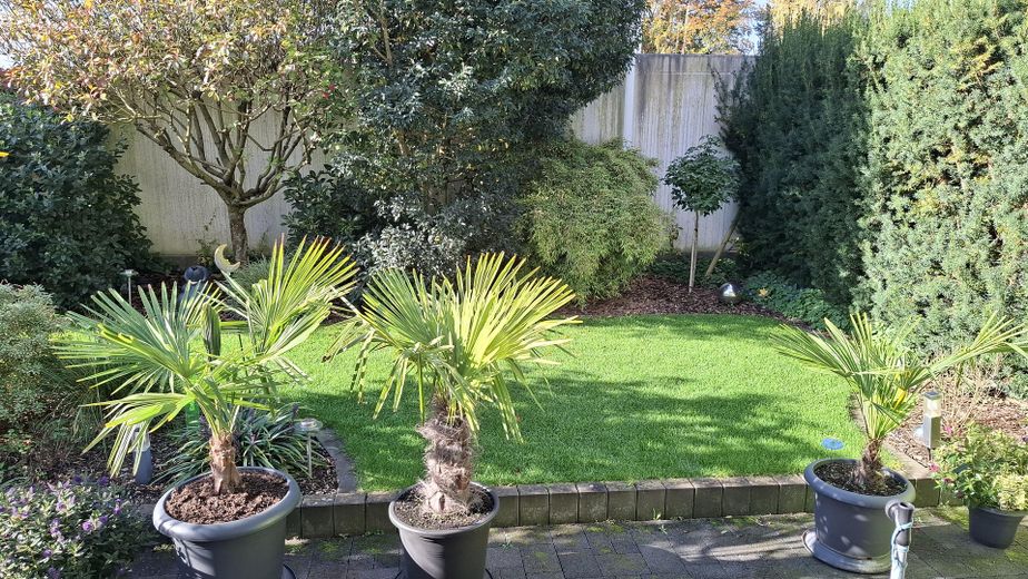 gepflegte Doppelhaushälfte mit Garten in Brühl-Eckdorf (provisionsfrei) – Garten