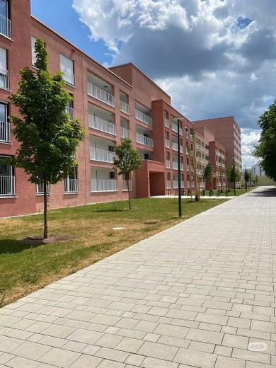 Provisionsfreier Privat - 2Zi.-Wohnung in München-Pasing – barrierefrei, Ost-West, ca. 4.3 % Rendit – Foto 1