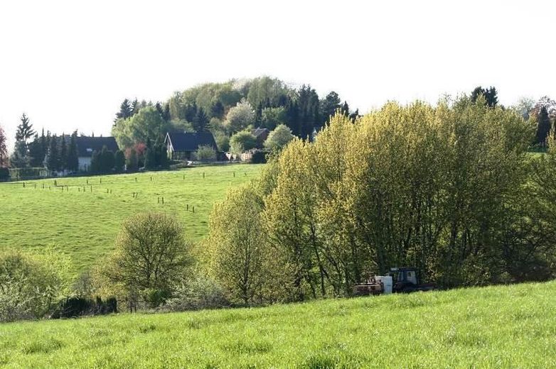 Gartenseite aus der Ferne