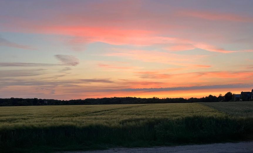 Blick nach vorne Sonnenunterg.