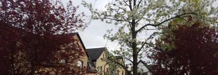 Sicht von Falkenseer Chaussee