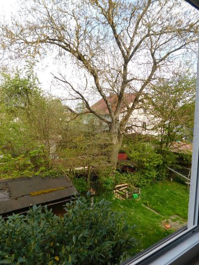 Blick vom Bad in den Garten