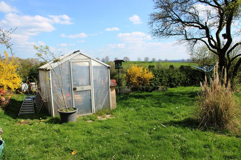 Garten hinten -1