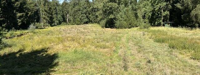 Paraíso rural/ bosque-pradera-agua – Wiese mit Wald