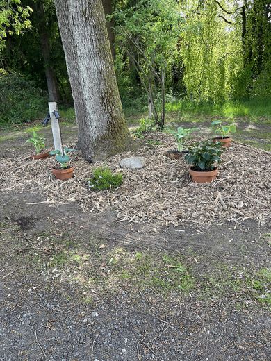 Maison de rêve dans un emplacement de choix ! Au calme, en pleine nature, étang de baignade – Photo 21
