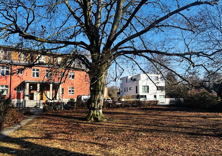 Straßenseite mit Park