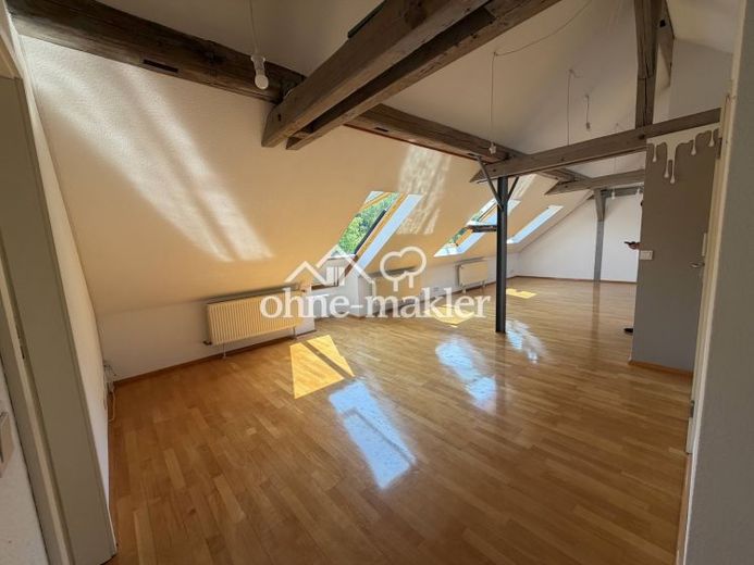 Offenes Wohnen im Kurpark – lichtdurchflutete 2,5-Zimmer- Dachwohnung mit Loftcharakter – Foto 1