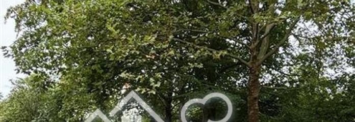 Looking for a parking space in Dahlem? 10 outdoor parking spaces for rent from 01/01/2027