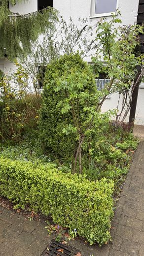 Vorderhaus Grünfläche