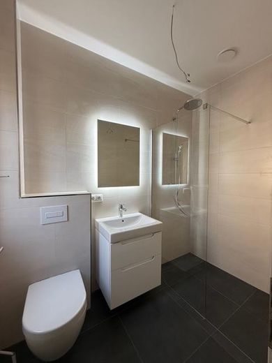 Gäste WC mit Dusche