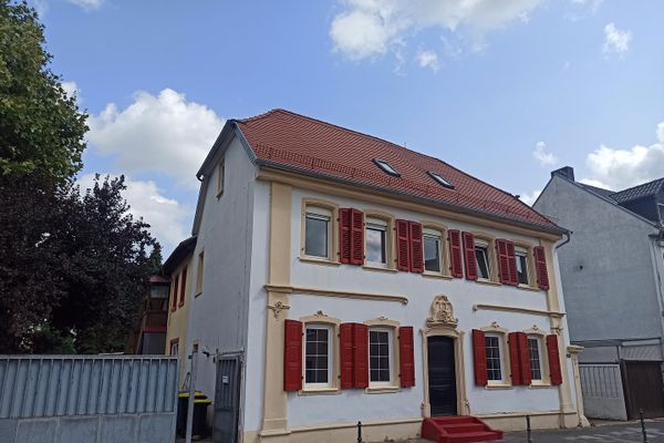 Mehrere Wohnungen zvm Wo-Neuhausen