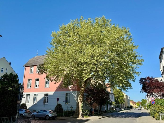 HORN IMMOBILIEN ++RESERVIERT! Neubrandenburg, schöne 4-Raum ETW im EG mit Balkon, 2 Parkplätze -bezugsfrei- – Straßenansicht