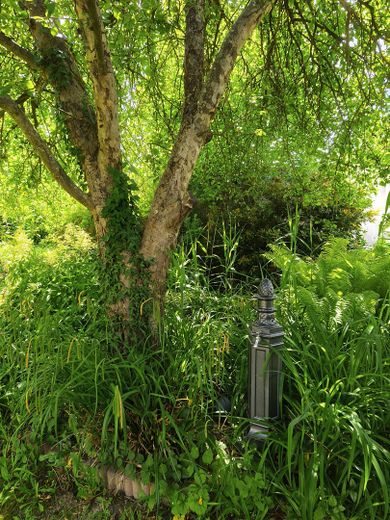 Provisionsfrei - Freistehendes Einfamilienhaus mit großem Garten nahe Stadtplatz und Innauen – Kleines Naturparadies