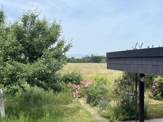 Staufen im Breisgau: Einfamilienhaus mit fünf Zimmern - provisionsfrei – Panorama-Ausschnitt