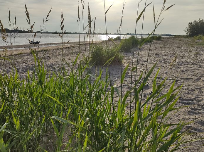 Mein's wird Dein's – Einziehen und wohlfühlen! – Weserstrand