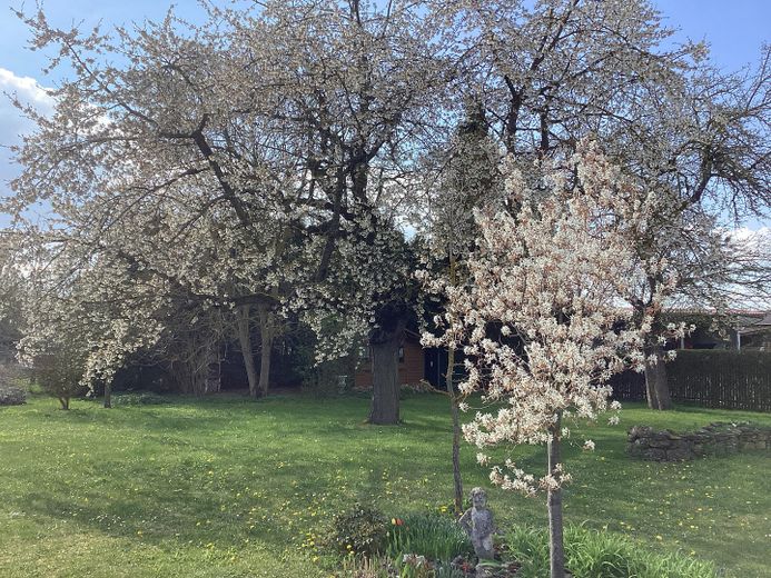 Freistehendes EFH im Landhausstil: weitläufiges Grundstück am Feldrand, Doppelgarage & Carport – Foto 4