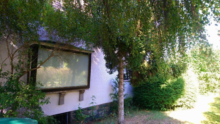 Haus am See - Wohnen wo andere Urlaub machen – Foto 3