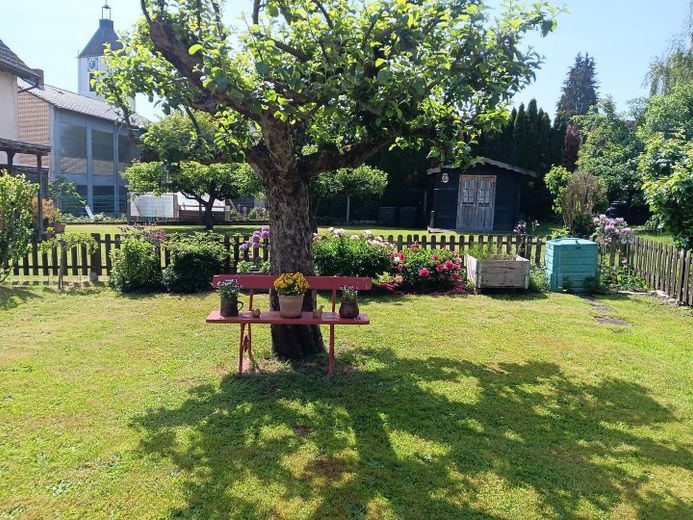 5 Zimmer Erdgeschoss-Wohnung mit Garten und separaten Eingang im OT Alzenau – Garten