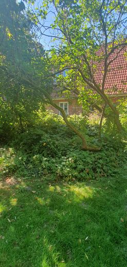 Garten Blick aufs Haus