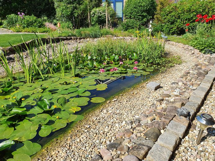 Gartenteich