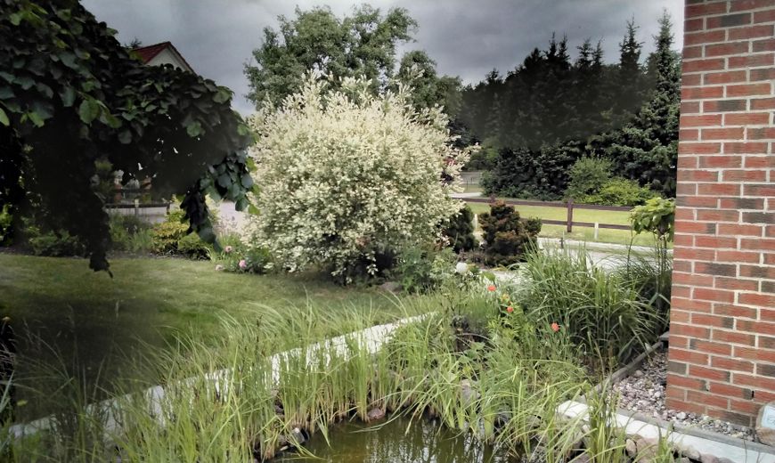 Verkaufe EFH – Foto 23