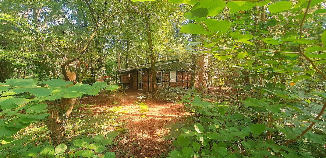Waldgrundstück + kleines Haus
